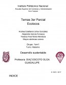 Globalización Academica