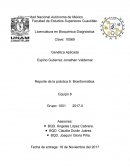 Reporte de la práctica 8. Bioinformática