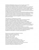 Fotosintesis para todos