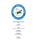 PRESENTACIÓN GRAFICA DE LA INFORMACIÓN RECOLECTADA DEL TEMA TRATADO