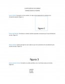 CLASIFICACIÓN DE LOS CAMINOS CAMINOS SEGÚN SU FUNCIÓN.