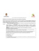 DESARROLLO DE LAS LÍNEAS DE TRABAJO EDUCATIVAS (PROPUESTA PEDAGÓGICA)