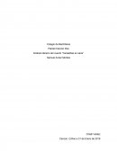 Análisis literario de "canastitas en serie"