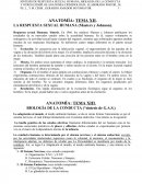 LA RESPUESTA SEXUAL HUMANA (Masters y Johnson).