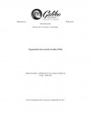 EJEMMPLO DE LA Feria Universal Sevilla 92