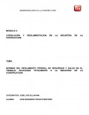 COMO FUNCIONAN LAS NORMAS APLACADAS EN LA CONSTRUCCION