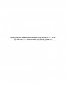 DISOLUCION DEL HIDROXIDO DE SODIO CON EL PERMANGANATO DE POTASIO PARA LA VARIACION DEL ESTADO DE OXIDACION