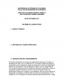 INFORME DE LABORATORIO.