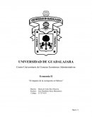 El impacto de la corrupción en México