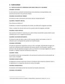 HOJA DE CALCULO DE LA ORDENADA CURVA MASA (TABLA DE 17 COLUMNAS)
