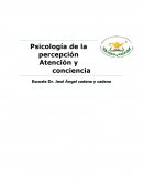 Un nuevo ejemplo de Psicología de la percepción Atención y conciencia