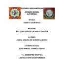 METODOLOGÍA DE LA INVESTIGACIÓN - ENSAYO CIENTÍFICO