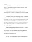 Impacto del TLCAN en la región sur de México