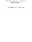 Nuestros orígenes – Seres Extra-dimensionales