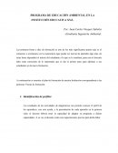PROGRAMA DE EDUCACIÓN AMBIENTAL EN LA INSTITUCIÓN EDUCATIVA XYZ