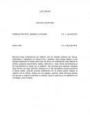 USO DEL TELEFONO LECTURA