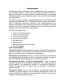 Tipos de presupuestos. El presupuesto puede considerarse como una herramienta la cual consiste en un plan