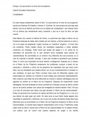 Un pavorreal en el Reino de los Pingüinos