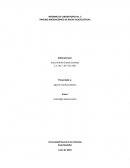 INFORME DE LABORATORIO No. 3 ANÁLISIS MICROSCÓPICO DE ROCAS SILICICLÁSTICAS