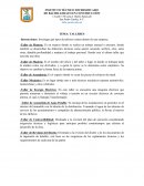 TEMA: TALLERES
