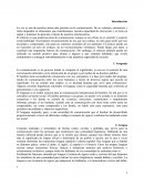 Expresión oral y escrita. La voz es una de nuestras armas más potentes en la comunicación