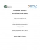 Análisis del texto denominado Caso 3D, liderazgo y gestión