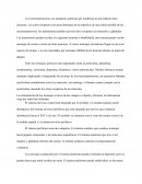 Neurotransmisores ensayo