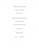 Proteccion civil Superficie física que ocupa el inmueble.