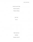 Ejmplo de la sEducacion 5230