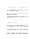 Como se da Analisis subjetivo del proceso penal