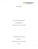 Colmbia construye y siembra futuro