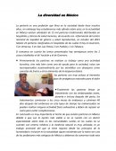 La diversidad en Mexico by Kandelaria Colli Aznar