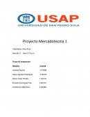 Proyecto Mercadotecnia Catedra