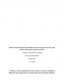 Sistema de transporte vertical de materiales: sistemas de grúas de brazo fijo, grúas pórticos, grúas puente; grúas mono y birriel Transporte y levantamiento de cargas