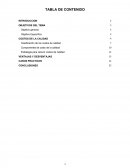 Costos de la Calidad