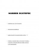 Hoja de control de microbiologia