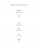 50 horas de Constitucion y democracia