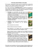 Como se dan los Cementos Desarrollados en Ecuador