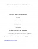 Evolucion del mercado de las calculadora