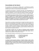 Generalidades del Gas Natural