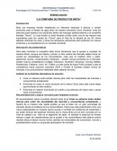 Análisis escrito “LA COMPAÑÍA DE PRODUCTOS BRITA”