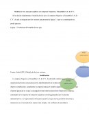 Modelo de los tres vectores.