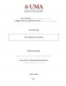 ESQUEMA PLAN DE TESIS
