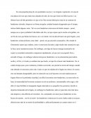 Era una pequeña playa de con acantilados rocosos y sin ninguna vegetación