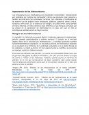 Cual es la Importancia y riesgos de los hidrocarburos