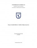 Ejemplo de Como es el Flujos de procesos