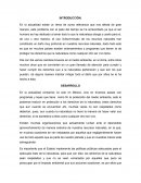ENSAYO FILOSOFIA