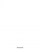 DESARROLLO DE UNA JUNTA GENERAL DE ACCIONISTAS