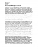 Reseña sobre "la forma del agua"