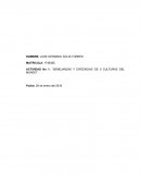 EJEMPLO DE ACTIVIDAD No 1: ‘’SEMEJANZAS Y DIFEENCIAS DE 5 CULTURAS DEL MUNDO’’.